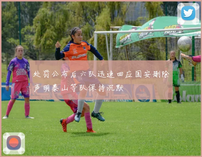 处罚公布后六队迅速回应国安删除声明泰山等队保持沉默