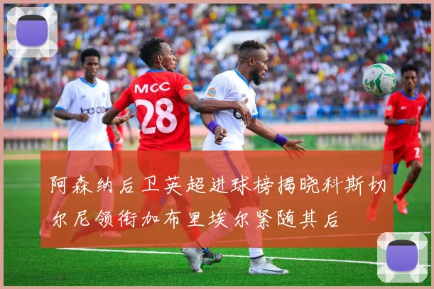 阿森纳后卫英超进球榜揭晓科斯切尔尼领衔加布里埃尔紧随其后
